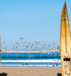 two straw umbrellas on a beach with a flock of birds