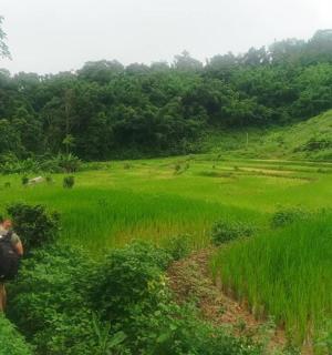 一个人走在田野里的土路上