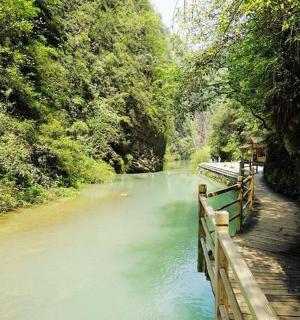 森林旁边有一座桥的河流