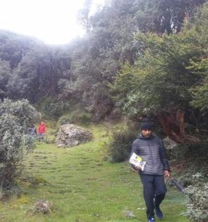 uma mulher caminhando por um caminho em um campo