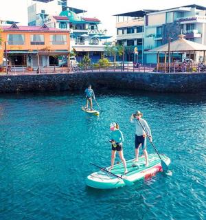 two people are on paddle boards in the water
