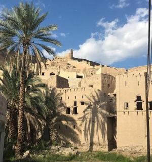 一座前面有棕榈树的大楼