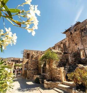 一座门前种着白花的老建筑