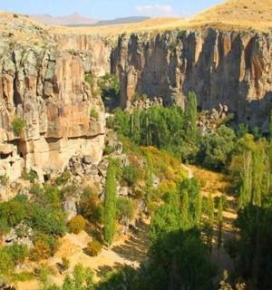 树木和岩石的峡谷景观