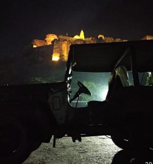 a bird in the window of a jeep at night