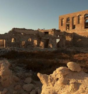 田野中央的一座老建筑