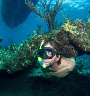 一名戴着潜水面罩的男子在海中