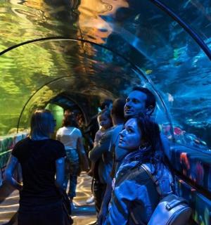 一群人穿过水族馆