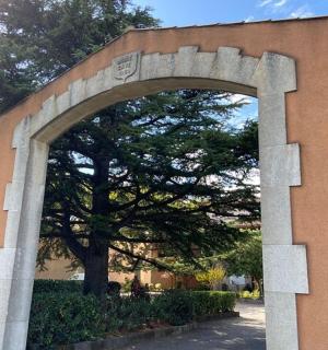 an arch in the side of a building with a tree
