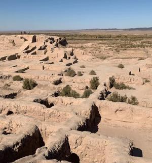 一片田野里有岩石和树木的沙漠