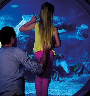 一名男子和一名年轻女孩正在参观水族馆