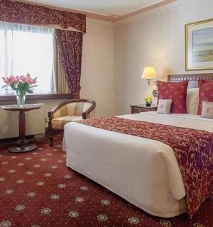 有一张大床和一扇窗户的酒店房间