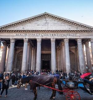 建筑物前的一辆马车