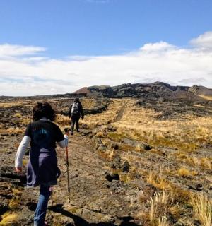 两个人在田野小路上行走