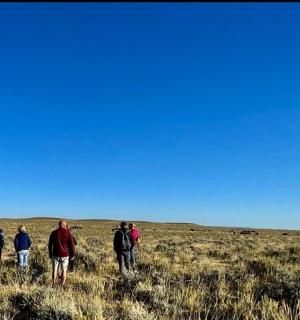 skupina lidí jdoucích se po poli