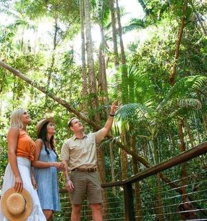 一群人站在森林里