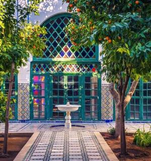 树木繁茂的建筑物前的喷泉