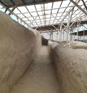 skupina ovcí uvnitř stodoly s místností