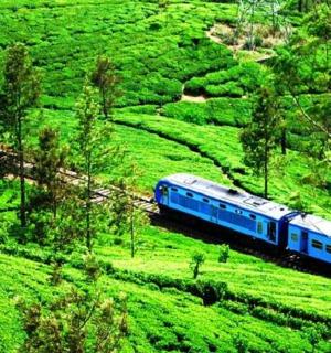 一辆蓝色的火车穿过郁郁葱葱的绿色山坡