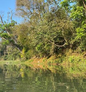 a river with trees on the side of it
