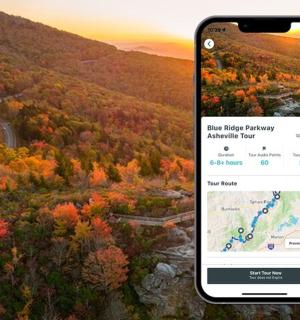 two iphones with a view of a forest