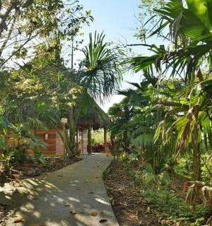 a path through a garden with trees and a building