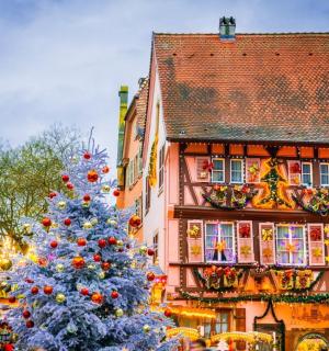 a christmas tree in front of a building