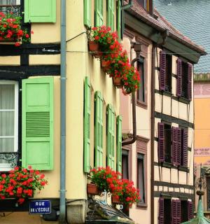 a building with green shutters and red flowers in windows