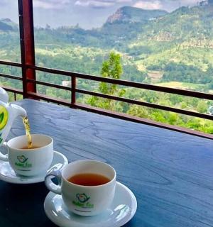 two cups of tea on a table with a view