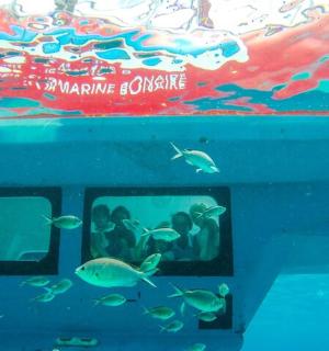 一群人在水族馆里看鱼