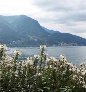 a view of a body of water with mountains