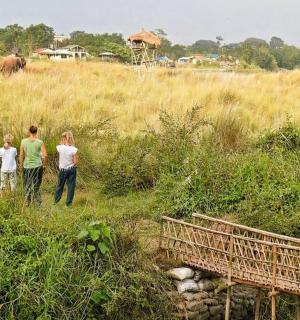 a group of people walking in a field with elephants