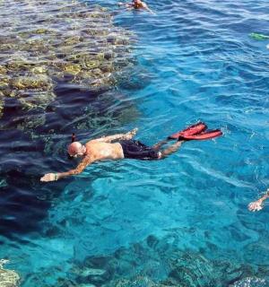 a group of people swimming in the water