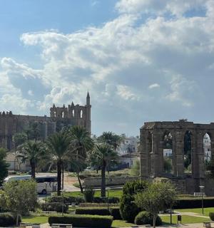 公园前有棕榈树的大楼