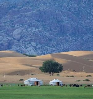 two white tents in a field in the desert