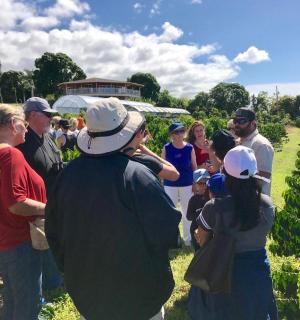 一群人站在葡萄园里