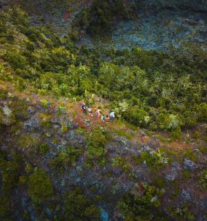 一群人在森林里的山上行走