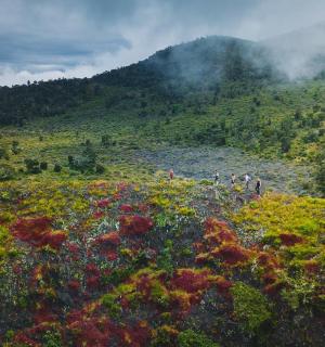 skupina lidí jdoucích po kopci s horou