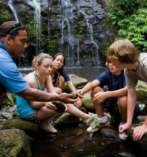 一群人坐在溪流中的岩石上