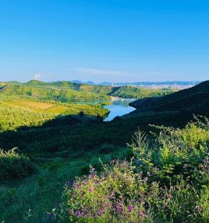 一个人骑着四轮摩托车在有河的山上行驶
