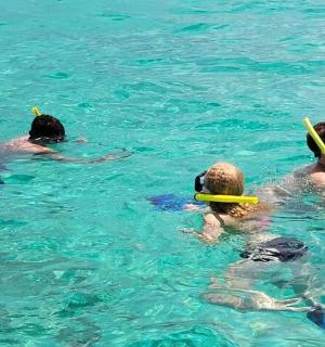 a group of people swimming in the water