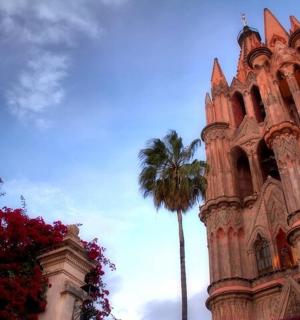 一棵棕榈树旁边有一棵棕榈树的建筑物