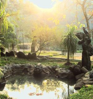a pond in the middle of a park
