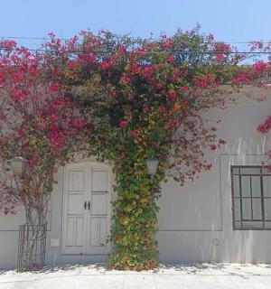 一座白色的建筑,上面有粉红色的花朵