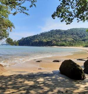 一群人在海滩上散步