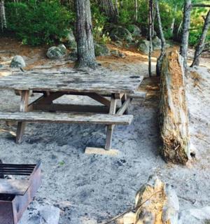 森林中间的一张木制野餐桌