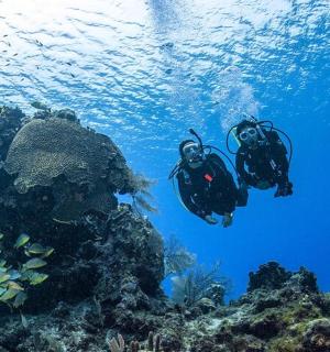 two people are scuba diving over a coral reef