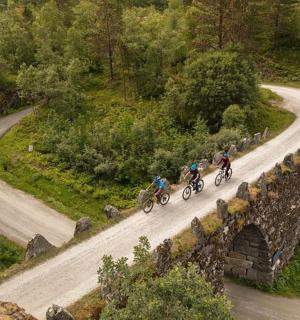 a group of people riding bikes on a road