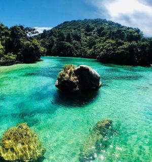 河水中有岩石的景色