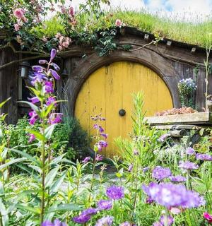 花园里开满鲜花的黄色门